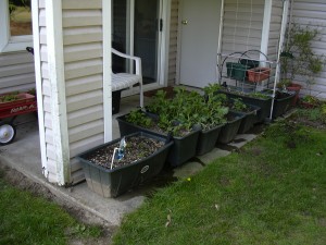 Porch Garden