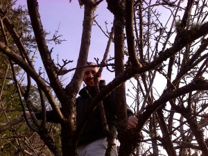 0118001415a Ryan in tree