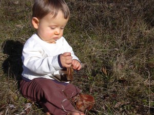 Xander with leaf