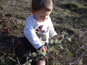 Xander with tree branch